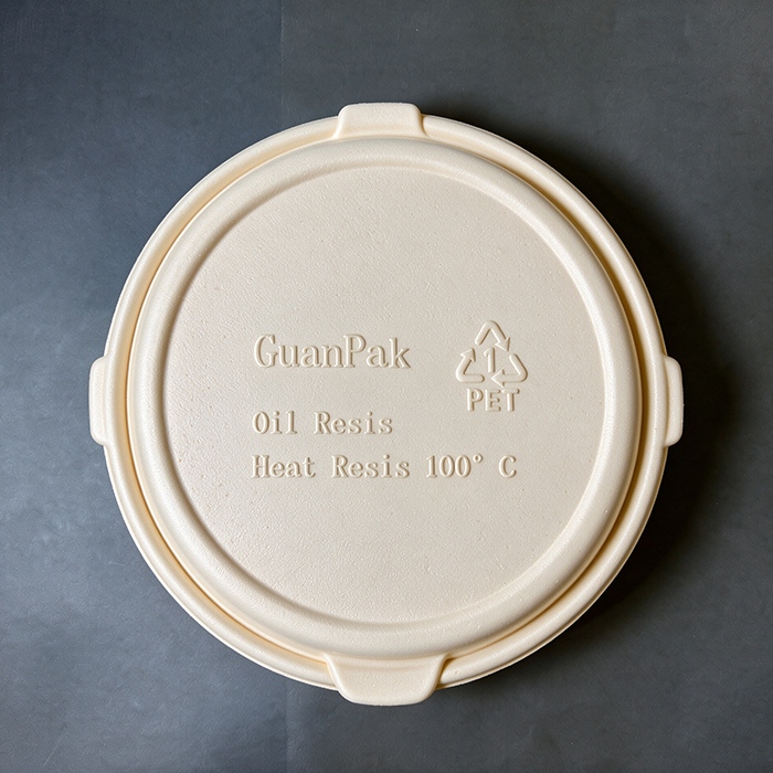 PET Foam Pizza box  G-10''
